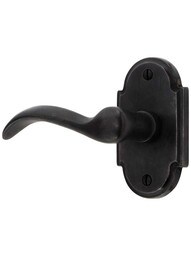 Solid Bronze Arched-Rosette Door Set with Churchill Levers.